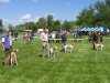 classe ouverte mle (titan, silver,urgos,sorano)